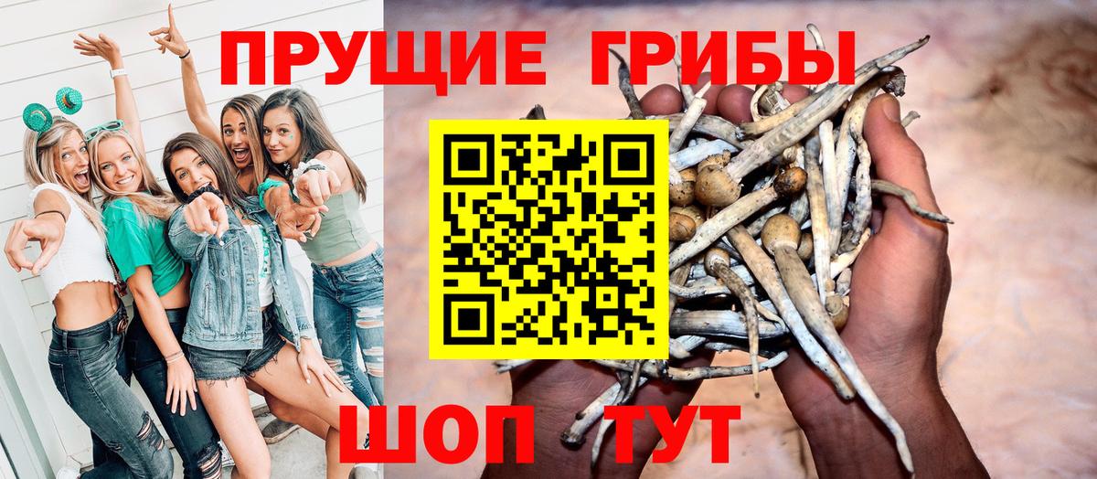 Новотроицк  Псилоцибиновые грибы мицелий  Вход с VPN 